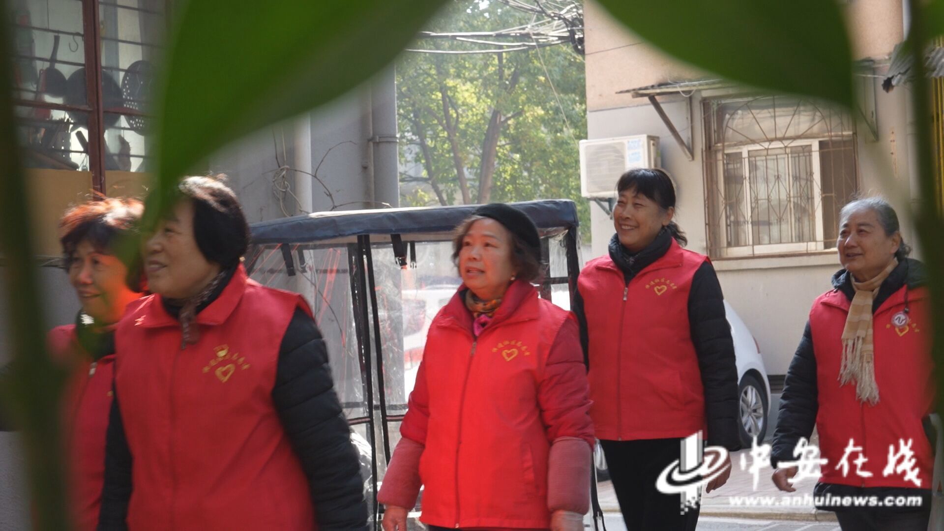察｜“窗帘之约”的无声守护尊龙凯时app网站中安观(图2)